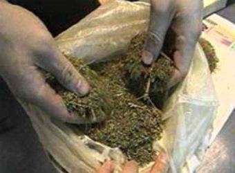В Краснодаре у рабочего изъяли 1 кг. марихуанны czm